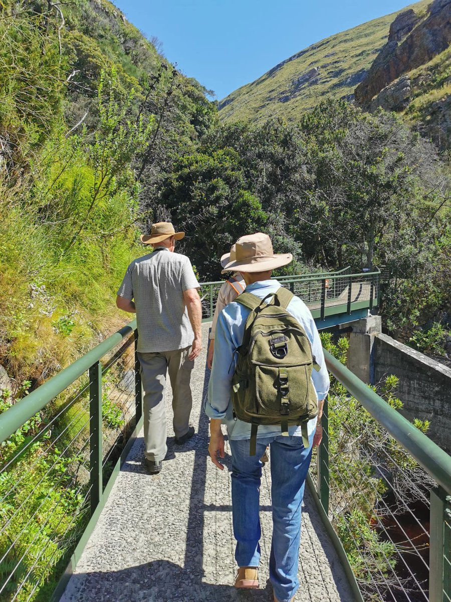 BotsocSOverb's tweet photo. @HaroldPorterNBG did not disappoint during a recent #SouthernOverberg BotSoc committee outing: The secretive 𝘋𝘪𝘴𝘢 𝘶𝘯𝘪𝘧𝘭𝘰𝘳𝘢 (#RedDisa) showed off her beautiful colours on the sheer cliff drops. Our thanks to our guide for the day, Tim Attwell, for hosting us. https://t.co/qXsbEI8eDB