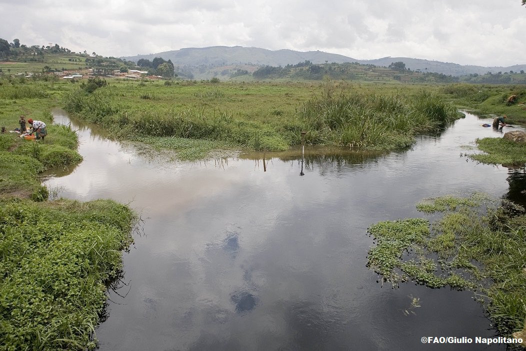 It’s time to acknowledge the contribution of wetland either for people or the planet 

In fact, wetlands has crucial role in the ecosystems in the pursuit of the biodiversity conservation, climate dister risk reduction and climate change mitigation
#WetlandsDay #RestoreWetlands