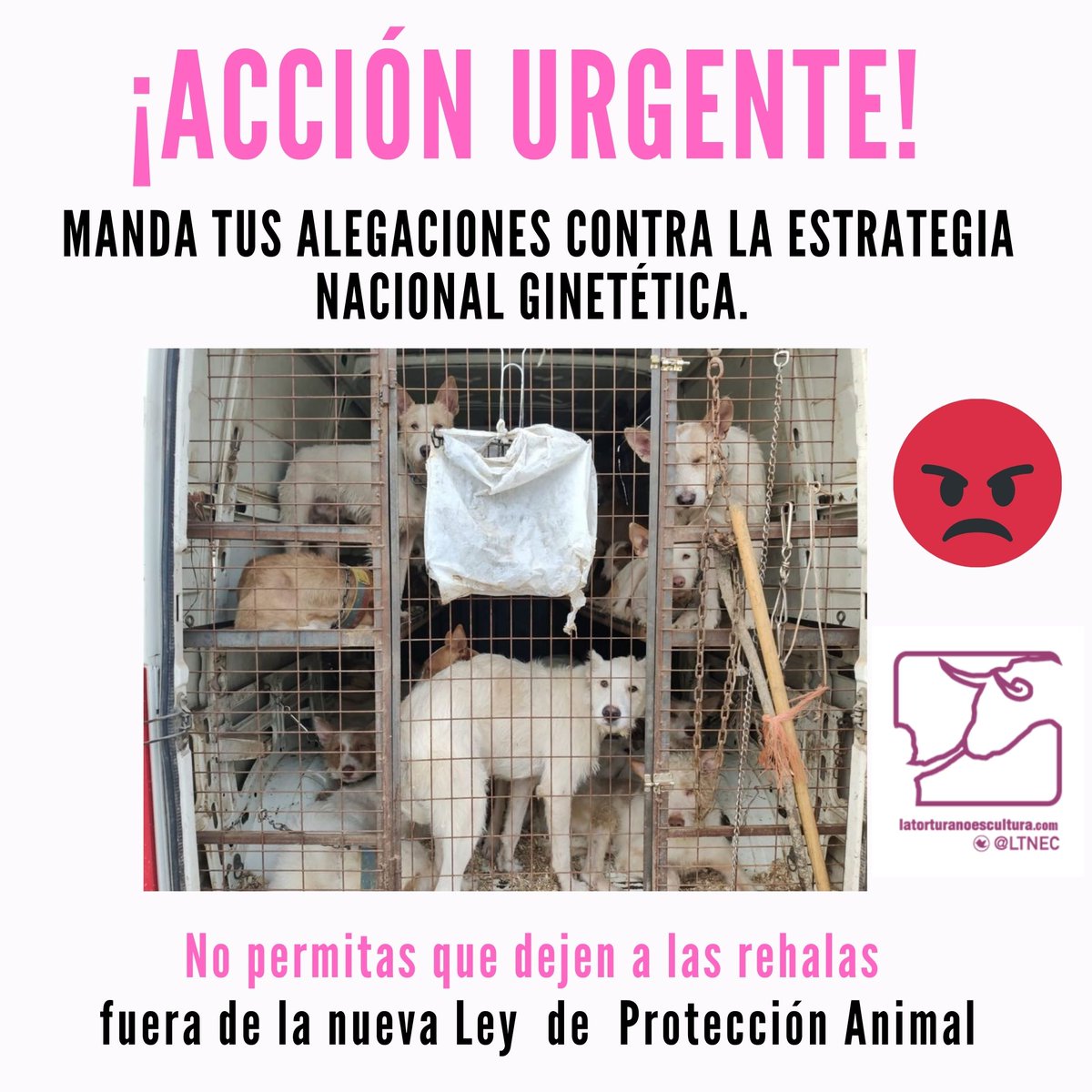 📢Hoy último día. Te llevará 2 minutos. Manda tus alegaciones contra la exclusión de los perros de rehala de la próxima Ley de Protección de los Derechos de los Animales en la Estrategia Nacional de Gestión Cinegética del @mapagob . Texto a enviar aquí👉facebook.com/10431784627488…