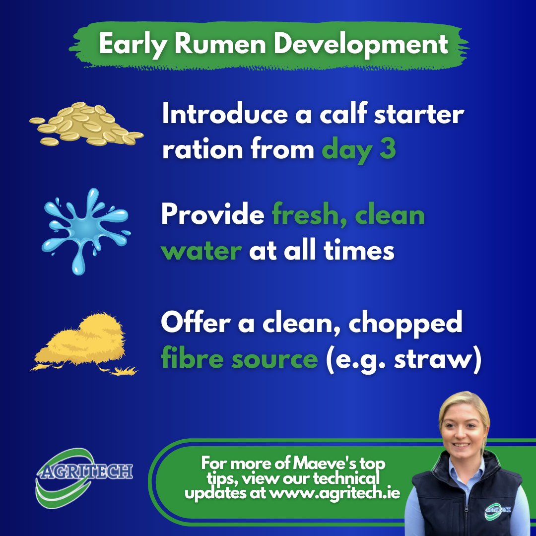 AgritechIreland's tweet image. An early feeding strategy geared towards rumen development is key to successful calf rearing. ✅

#Calving22 #RumenDevelopment