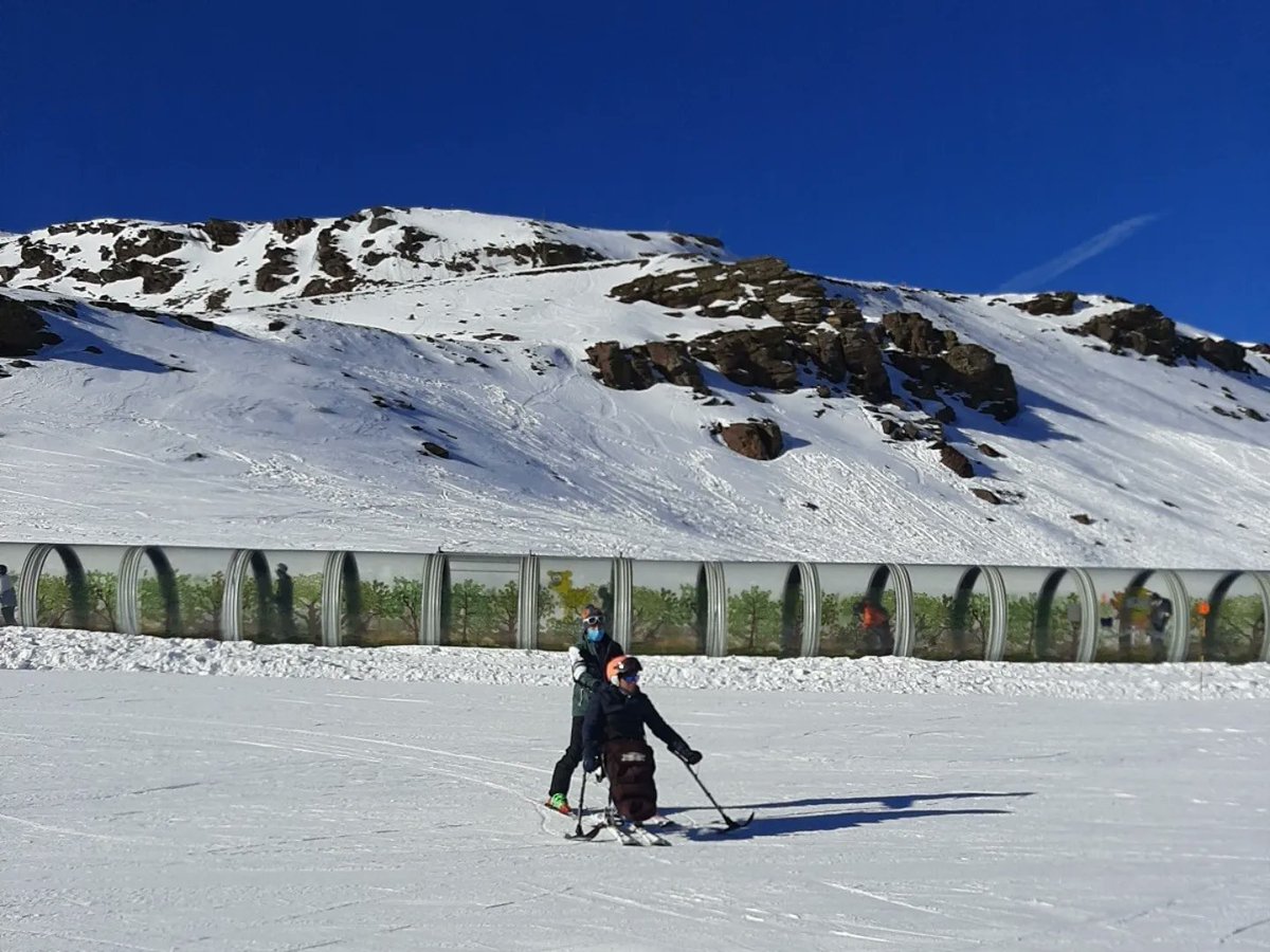 FundDyD's tweet photo. El buen ambiente y el extraordinario tiempo se convirtieron en imprescindibles en la práctica de este deporte junto con nuestros magníficos profesores y especialistas en Esquí Adaptado. 🏂
¡Todavía nos quedan más experiencias para seguir deslizando! 🦾🏔️ https://t.co/uRGLYnhXSY