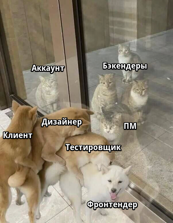 Всех правильно отметил?
