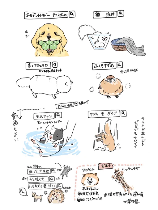 私の癒され検索ワードも共有しておきますね!〜第2陣〜
疲れたりイライラしたら画像検索するワードたちだよ 