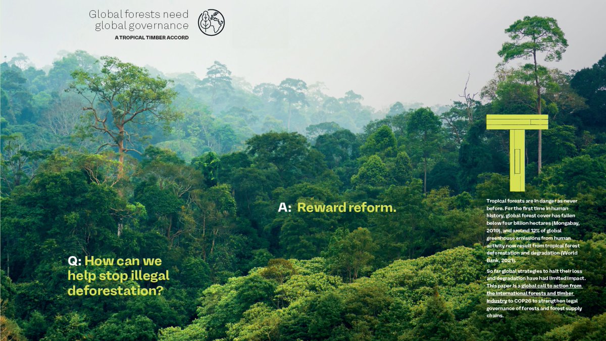 Have you read the #TropicalTimberAccord launched <a href="/COP26/">COP26</a>? 

We must see a drive towards strong legal governance in forests and international supply chains which underpin all climate objectives. Find out more, be sure to like, retweet and comment ow.ly/VvYA50HI4Il