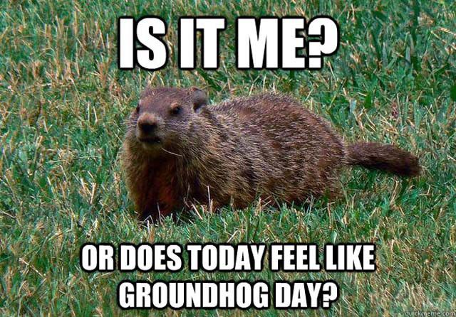 NorthlandRadio2's tweet photo. We see what they did there! #groundhogday #earlyspringplease https://t.co/duT0rSKqck