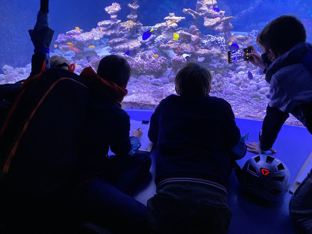 eshthehague's tweet photo. Every year our S2 students visit @RotterdamZoo to observe and sketch the animals as part of their Art lessons 🎨 https://t.co/Txdap8R7pa