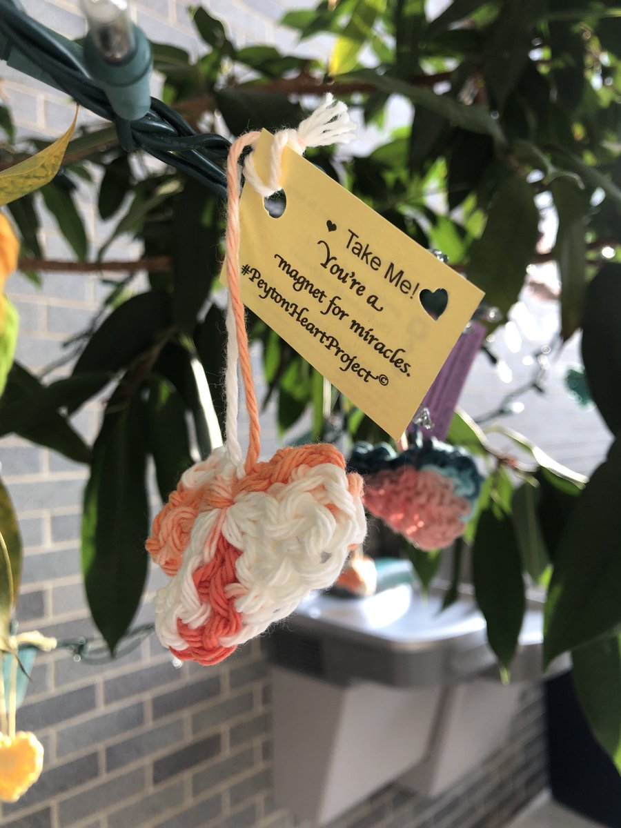 crochetchik's tweet photo. #fox29goodday #fox29 ⁦@MikeFOX29⁩ ⁦@AlexHolleyFOX29⁩ ⁦@SueSerioFox29⁩   crocheted hearts I make for #peytonheartproject to help people know that #youmatter #kindnessmatters #suicideawareness https://t.co/lVRGqEtFCk