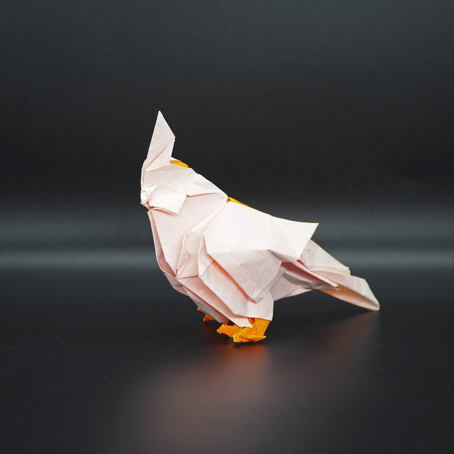 オリガミスト ゆう 作品名 オカメインコ Cockatiel 創作者 チョン ジェイル 出 典 新世代 究極のおりがみ 折り紙 オリガミ Origami 小学生 小学4年生 10歳 折り紙好きな人と繋がりたい おりがみドラゴン Origamidragon T Co オリガミスト ゆう 作品名 オカメインコ Cockatiel 創作者 チョン ジェイル 出 典 新世代 究極のおりがみ 折り紙 オリガミ Origami 小学生 小学4年生 10歳 折り紙好きな人と繋がりたい おりがみドラゴン Origamidragon T Co