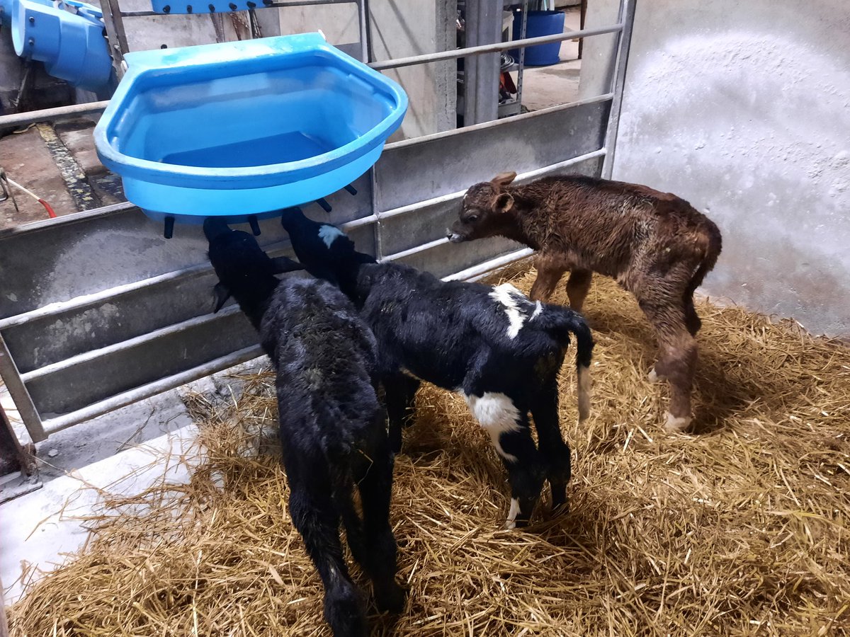 Bulls Bulls Bulls to start use off in 2022 best of luck everyone