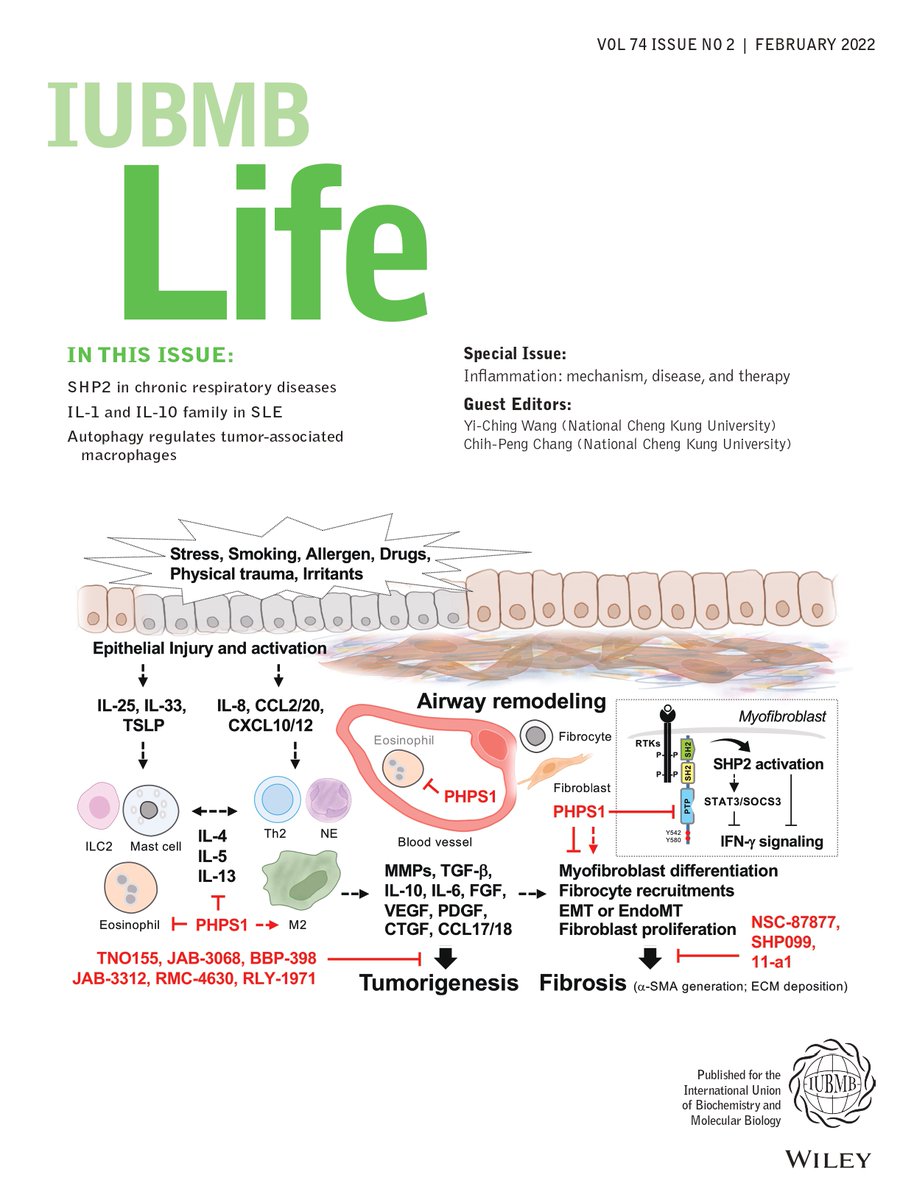 🔖Another Special Issue for February 👉iubmb.onlinelibrary.wiley.com/toc/15216551/2… 🚩SHP2 in chronic #respiratorydiseases 🚩#IL1 and #IL10 family in #SLE 🚩#Autophagy regulates tumor-associated #macrophages #inflammation #immunesystem #immunology #organfailure #autoimmune #cancer #Tregs