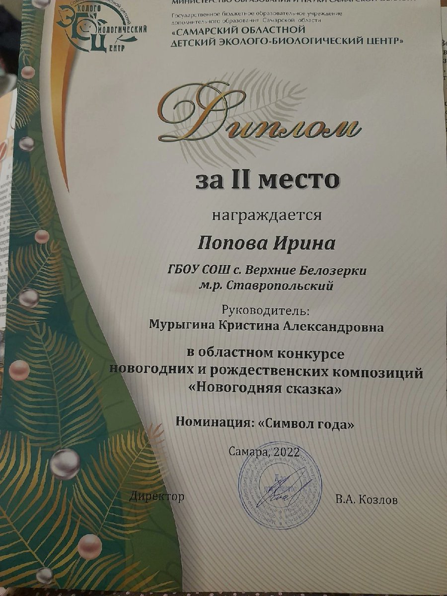 "Самарский областной детский эколого-биологический центр" подвел итоги областного конкурса новогодних и рождественских композиций "Новогодняя сказка". Поздравляем нашу ученицу 8 кл, Попову Ирину, за заслуженное 2 место в номинации "Символ года". Желаем творческих успехов и побед!