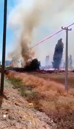 RedMaule's tweet photo. 🔴 Bomberos continúa trabajando en incendio que se produce a un costado del puente Achibueno. Precaución por el humo que se encuentra en la Ruta 5 sur. https://t.co/GIIyhVTMBO