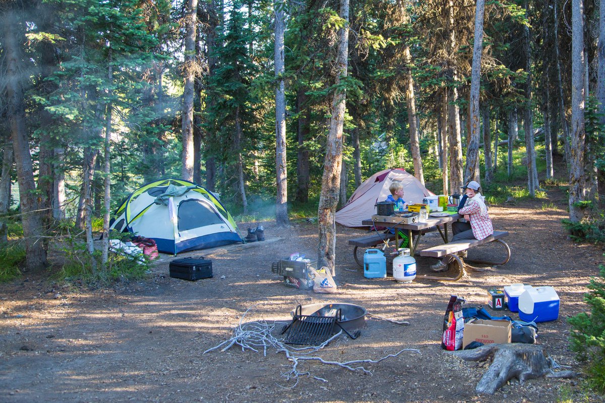 News Release: Beginning Feb.14, 2022, visitors will be able to make advance reservations for additional campgrounds in Yellowstone National Park on Recreation.gov. Learn more: go.nps.gov/22006