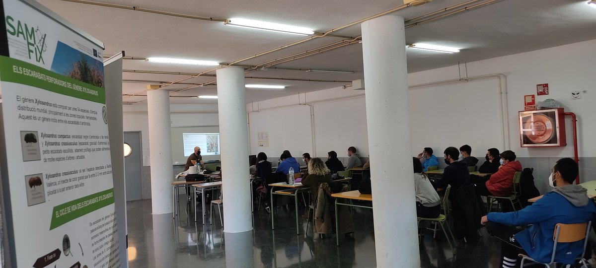 LifeSamfix's tweet image. The past two days we had the Tree Day in #Spain with a conference of Life #Samfix in Callosa d&apos;en Sarrià (province of #Alicante).
The meeting involved the students of IES Rodolfo Llopis with the aim of raising awareness of the problem of invasive exotic beetles. @LIFEprogramme