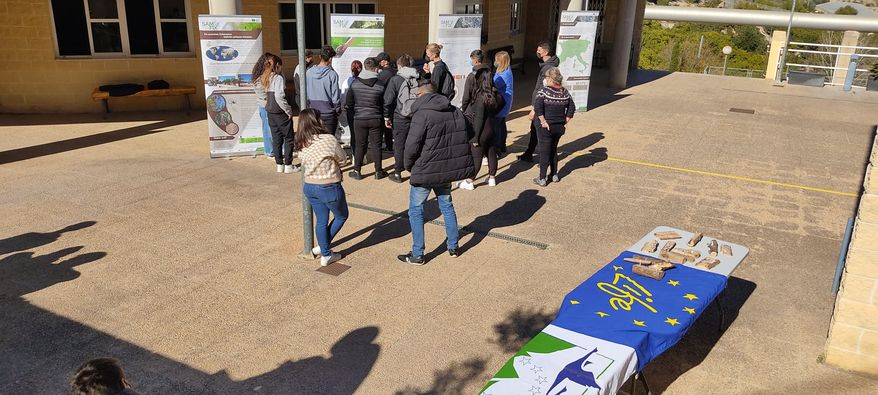 LifeSamfix's tweet image. The past two days we had the Tree Day in #Spain with a conference of Life #Samfix in Callosa d&apos;en Sarrià (province of #Alicante).
The meeting involved the students of IES Rodolfo Llopis with the aim of raising awareness of the problem of invasive exotic beetles. @LIFEprogramme