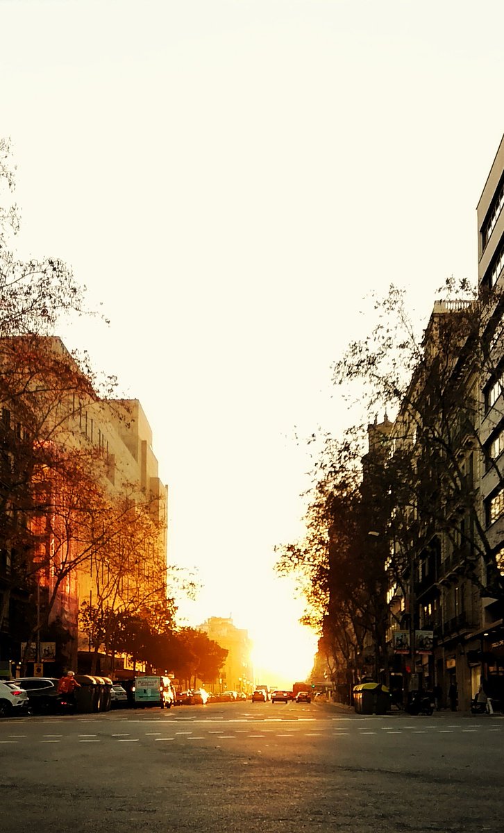 DavidMoral_F's tweet photo. #Barcelona #streetphotography #huaweipsmart #sunsetphotography https://t.co/OvQG3a5235