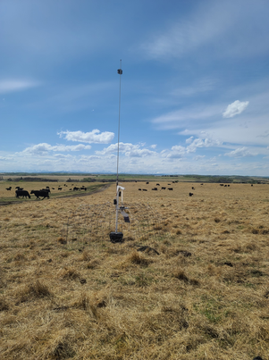 albertabats's tweet photo. Mutual Attraction: W. A. Ranches Investigates How Bats and Cattle Can Help Each Other https://t.co/LH5E7ujKSa   #BatsAndCows #AlbertaBats #Bats https://t.co/IjljeJXcF5