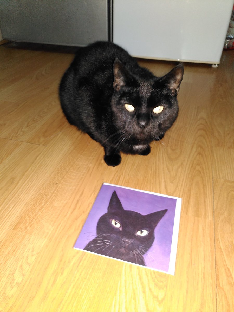 I got my husband a card that looks like his favourite cat. I think this is a win! Thank you <a href="/FionaHodgesArt/">Fiona Hodges Art</a> and #lincsconnect #elevenseshour Supporting small business!