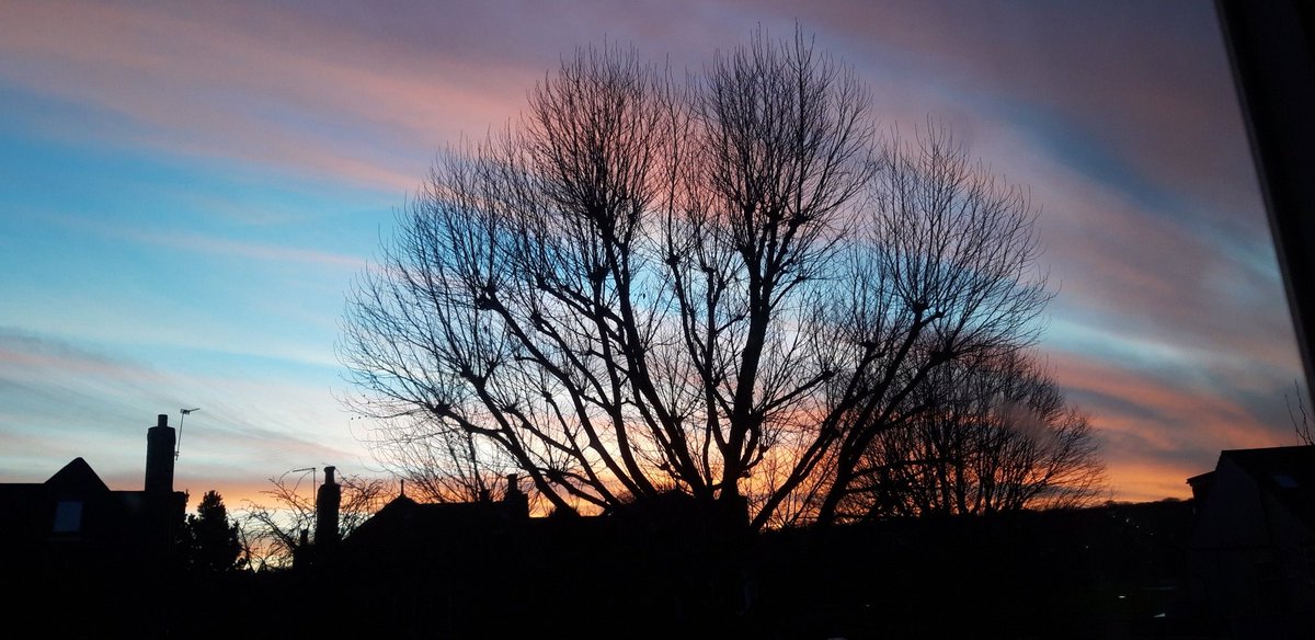 Sky over Shepherds Cot this evening.
