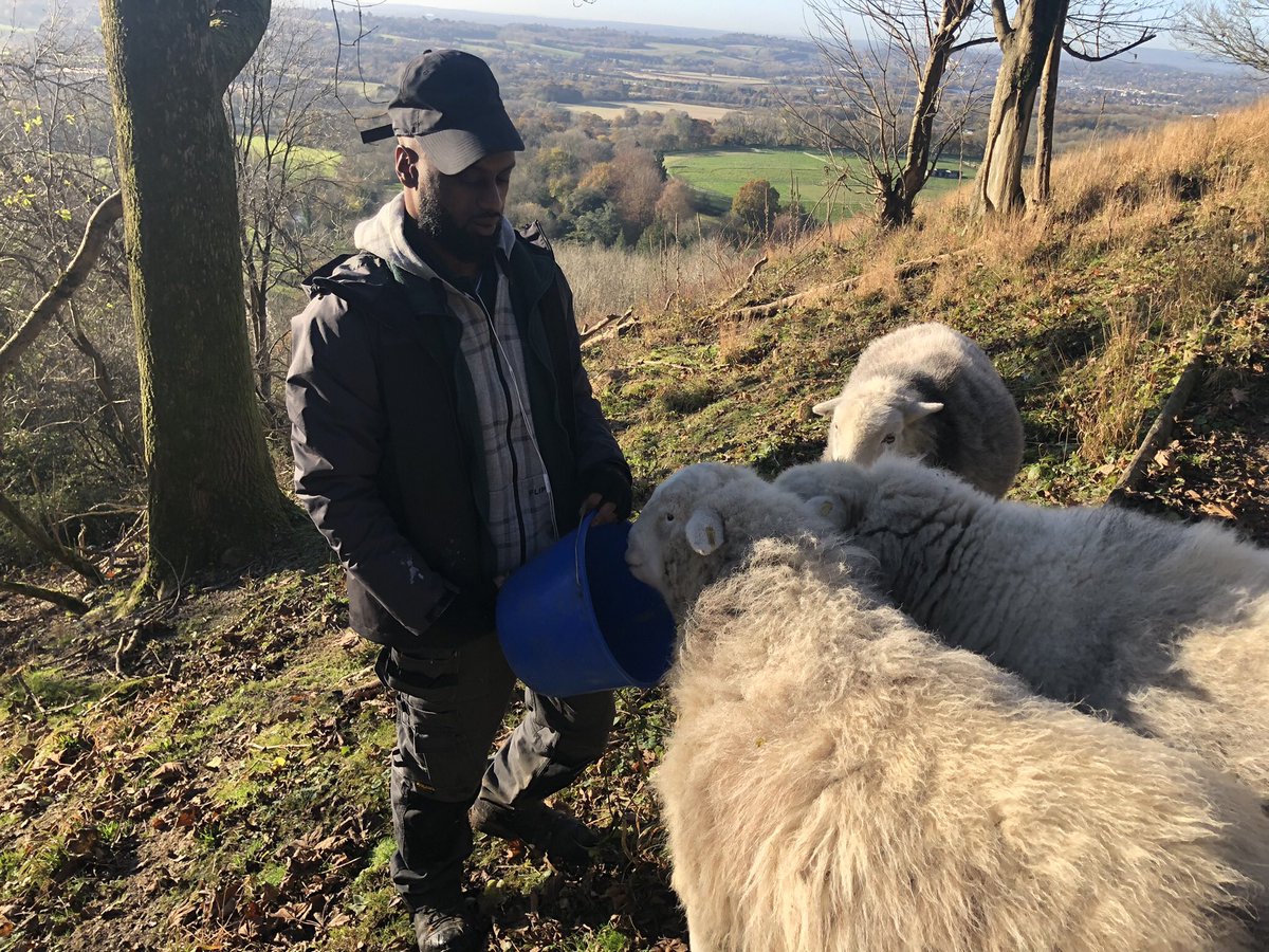 Downygrazers's tweet photo. It was Josh’s last day with us. It’s been amazing having him as part of the team and he leaves with a lot more skills and experience to take into his future. We look forward to having him back volunteering! #Kickstarter https://t.co/iqhldVbAX7