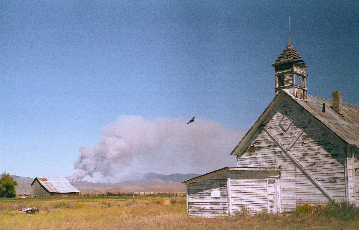 Oliver Dahl tweet media