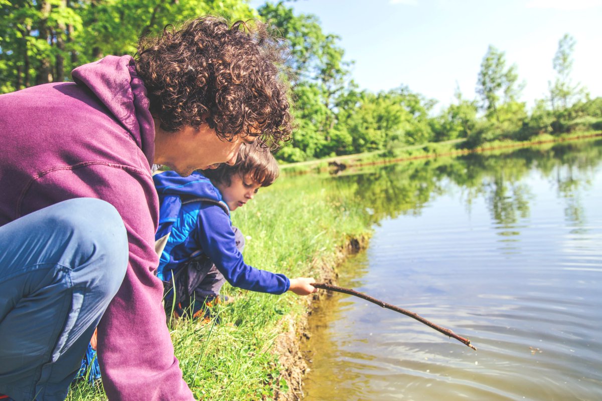 Did you know today is World Wetlands Day? Wetlands are among Earth's most productive ecosystems supporting many migratory birds, fish and amphibians. Canada is home to almost a quarter of the worlds remaining wetlands. #worldwetlandday