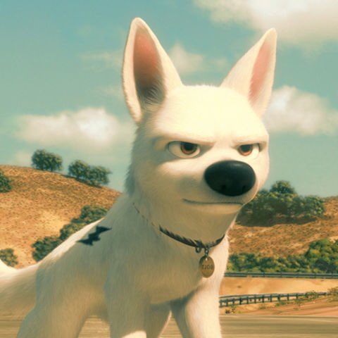 โบ้้้้้้😠