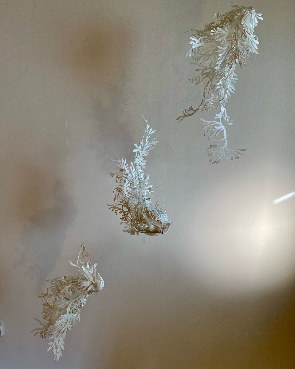 AnyaBeaumont's tweet photo. Light, space, shape, shade. A trio of floating sculptures. 
#recycledplastic #sculpture #contemporaryart #plasticpollution https://t.co/1XkhMZHLO6