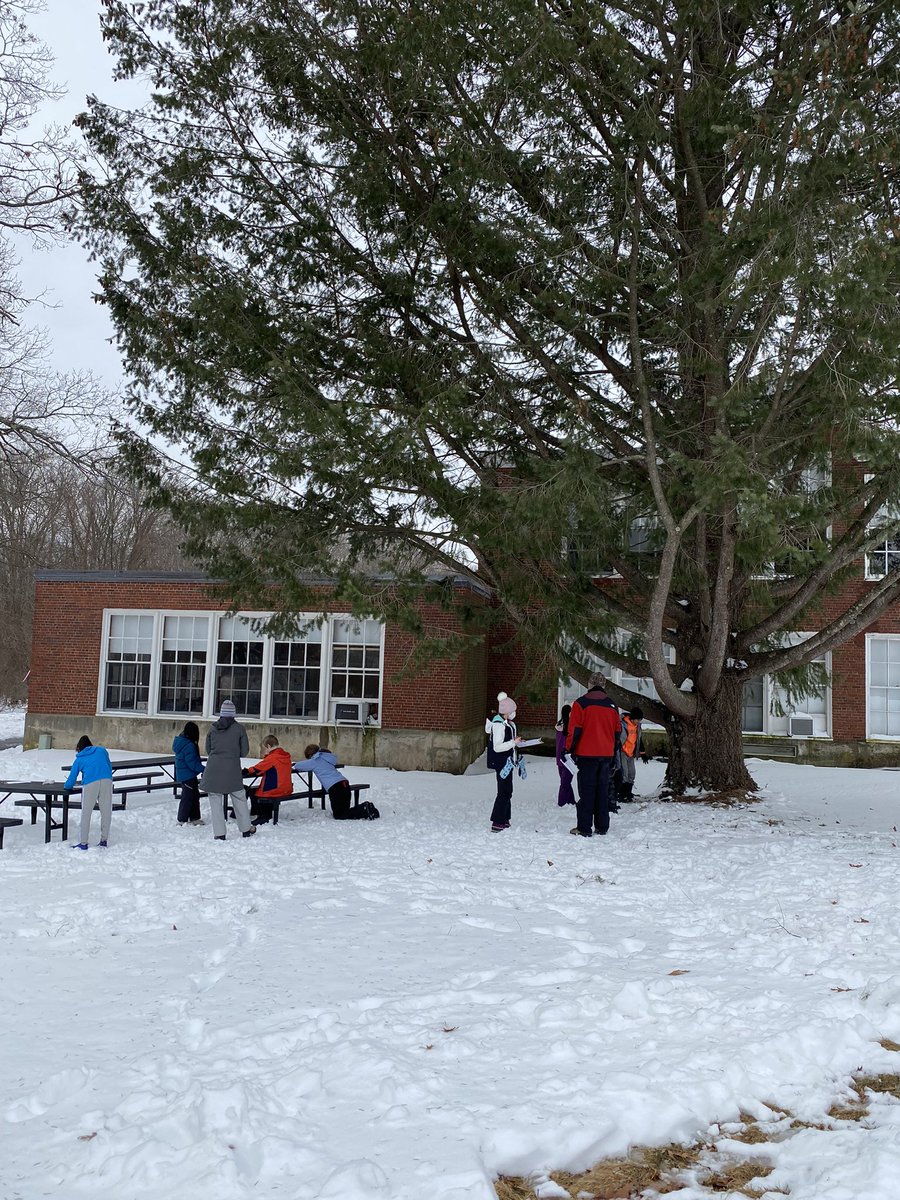 MrsClassGrade5's tweet image. 5C is having a great time during our Big Backyard walk! #nature #wintertrees #lpshawks #joyinlearning @Hawk_Principal @RoryDOConnor