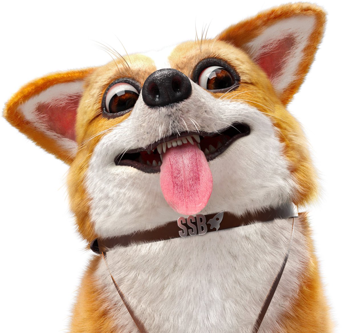 SatoshiStreetBets™ tweet media