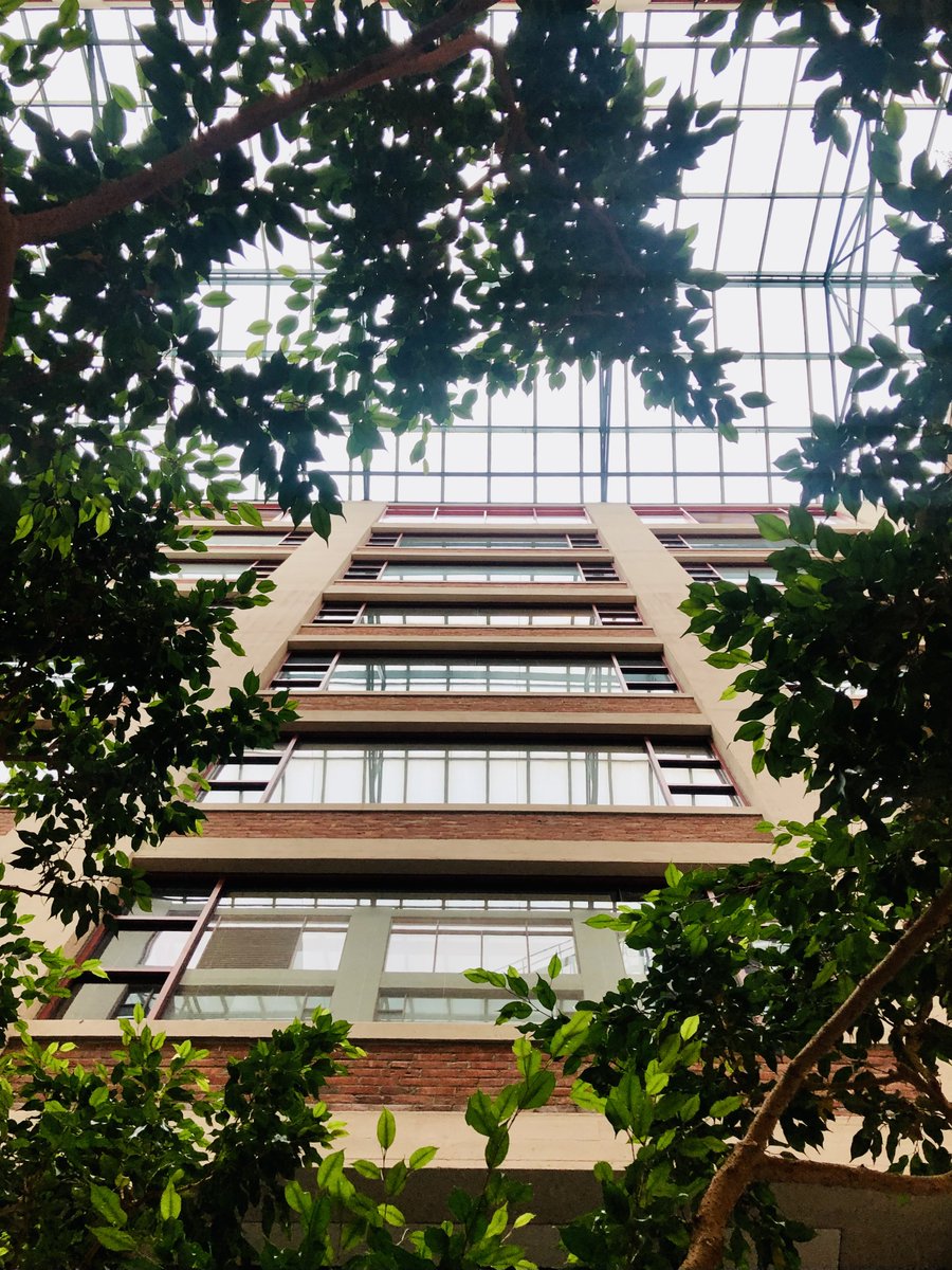 Andrea Schmidts tweet media