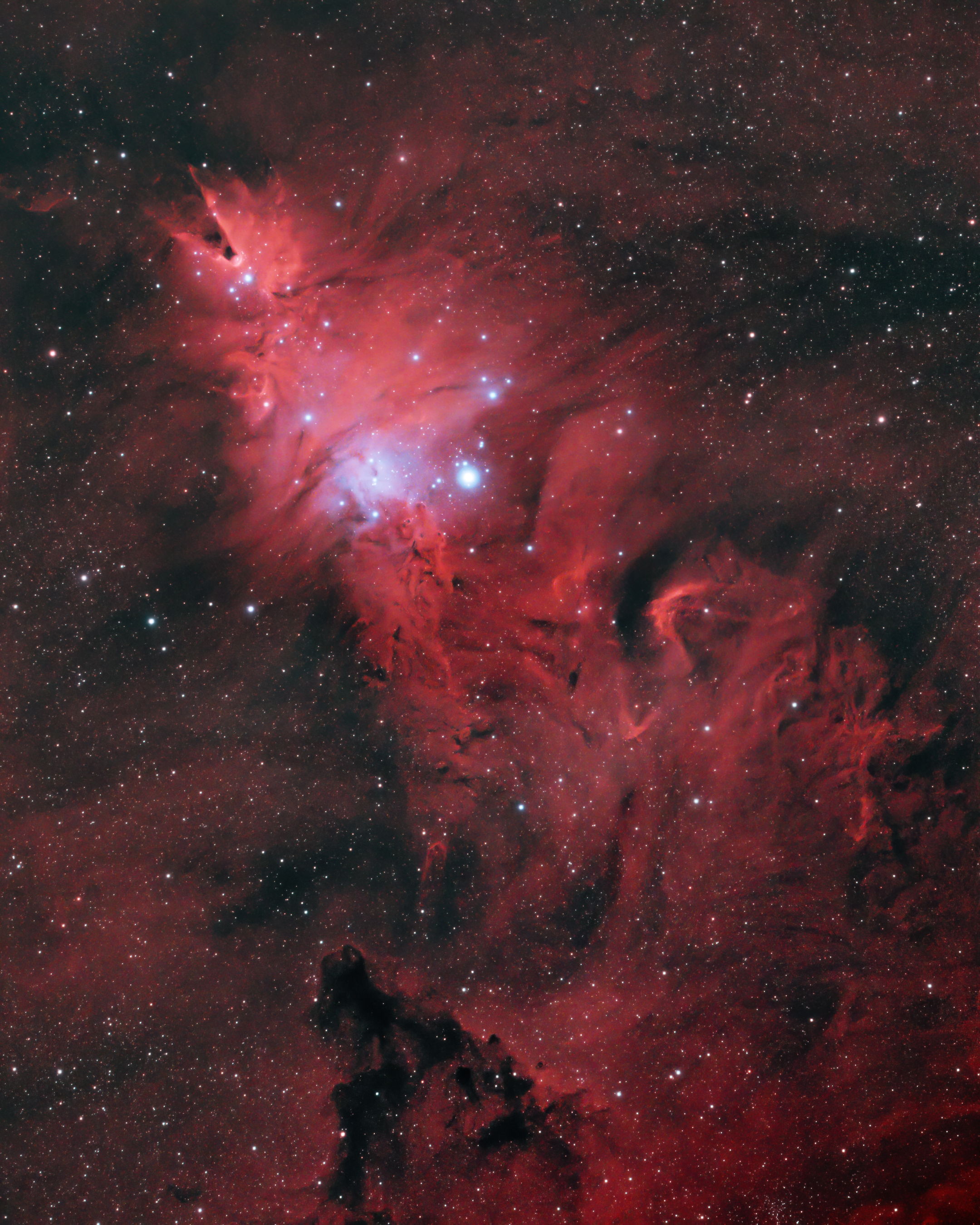 cone nebula galaxy