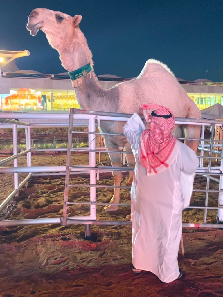 عروس الصياهد
نــــجــــــــــــــــــــد
في ليلة تتويجها
بحضور ولي العهد
و العائده ملكيتها لراعي مضيمات /
عمير بن فهد آل روق القحطاني
الله يبارك له و لجميع المسلمين
<a href="/omaairfahad/">عمير بن فهد القحطاني</a>