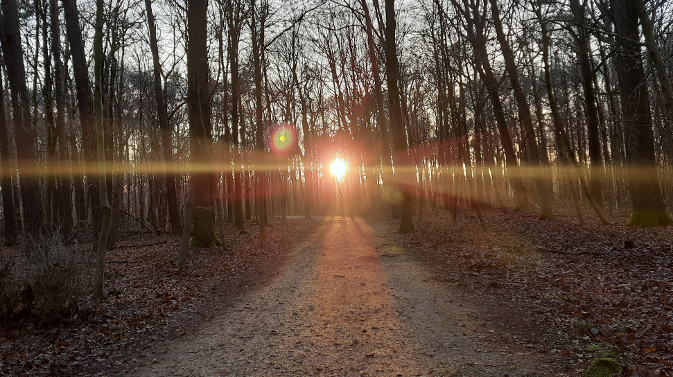 ClausMikosch's tweet photo. Here's the blog entry for February: JUDGEMENT DAY @ https://t.co/0xfFUEg2Ee What if we stopped judging? #judgement #empathy #change https://t.co/yIVSfu8FeB
