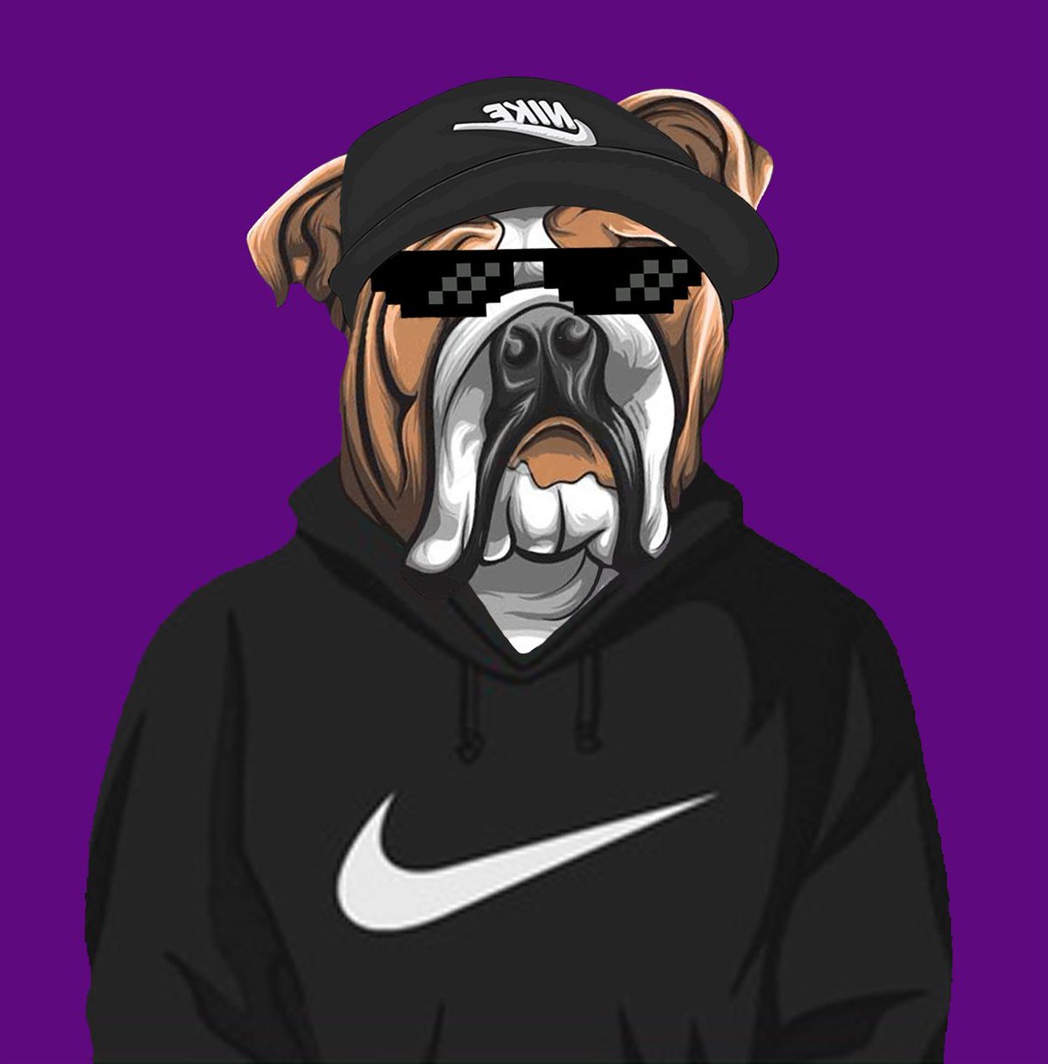 CityOfAnimals1's tweet photo. The Coach #Nike https://t.co/XrfMJooEPp
