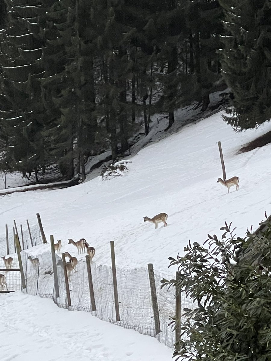 #Pointmicrosdor « test, boulot,dodo »
<a href="/Morzine/">Morzine</a> 🤣🤣
