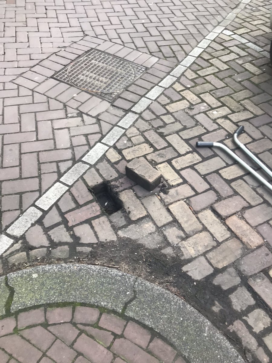 Vincent Merckx (@vmerckx) on Twitter photo Sampling underground networks in the urban jungle! Mycorrhiza are everywhere, even under the pavements of <a href="/AmsterdamNL/">Gemeente Amsterdam</a> π³π<a href="/spununderground/">SPUN</a> @Naturalis_Sci @Stadsecoloog020 <a href="/IBED_UvA/">IBED</a> <a href="/VUamsterdam/">Vrije Universiteit Amsterdam (inactief)</a> @AriseBiodivers1 Sampling underground networks in the urban jungle! Mycorrhiza are everywhere, even under the pavements of <a href="/AmsterdamNL/">Gemeente Amsterdam</a> π³π<a href="/spununderground/">SPUN</a> @Naturalis_Sci @Stadsecoloog020 <a href="/IBED_UvA/">IBED</a> <a href="/VUamsterdam/">Vrije Universiteit Amsterdam (inactief)</a> @AriseBiodivers1