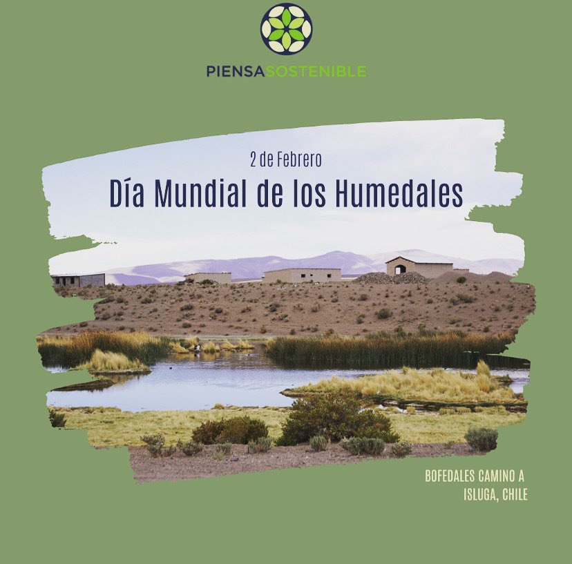 PiensaSost's tweet photo. Feliz día mundial de los #humedales! Que increíble lo que hace esa mezcla mágica de #agua y #suelo! 🌾🪱 Debemos protegerlos, conservarlos y restaurarlos, pues son esenciales para la vida humana y no humana en el 🌎 https://t.co/tvJjbKWGJ6