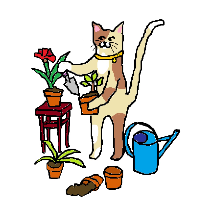 Crypto_Cat tweet media