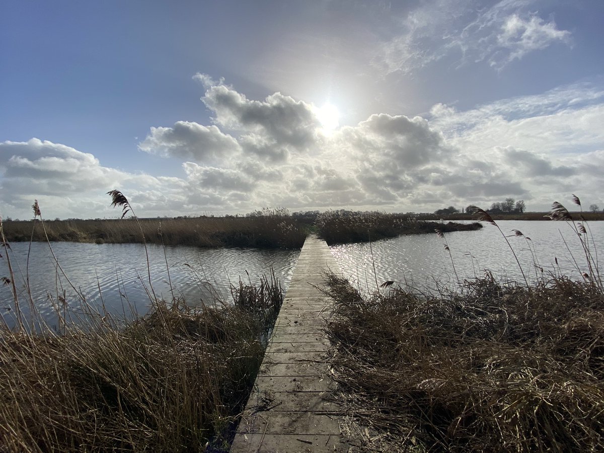 Kik1969's tweet photo. 🥾🥾 Glibberen en glijden, maar wat een mooi stukje Nederland ! #Zevenhoven #GroeneJonker #GroeneHart #wandelen https://t.co/DWPAhSBMsC