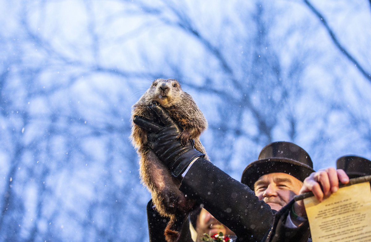 senconcorp's tweet photo. Senate Construction would like to wish everyone a Happy Groundhog's Day! #sixmoreweeks #PunxsutawneyPhil #MoreWinter https://t.co/2yMFVBLdD6