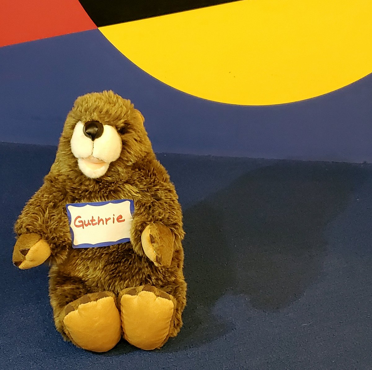 Guthrie the Groundhog woke up this morning, blinked his eyes, and saw his shadow! Oh no! Looks like 6 more weeks of winter. 

Are you enjoying winter? Or are you ready for spring? #guthriememoriallibrary  #guthriethegroundhog #hanoverpa