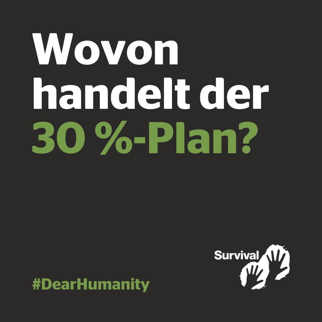 Worum geht es beim 30 % -Plan? Und welche Probleme bringt er mit sich? 🧐

Das erklären wir euch ausführlich im Laufe der nächsten 28 Tage ... 👇

1/4
