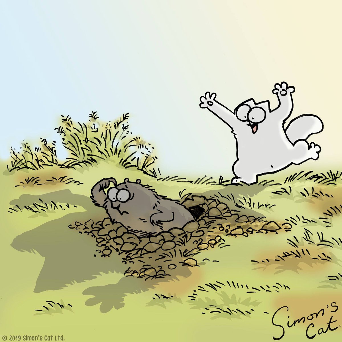 SimonsCat's tweet photo. Happy #GroundhogDay ! ❤️ https://t.co/6Bv2L4w5j2