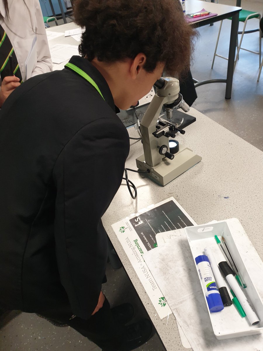 Mrs__Laing's tweet photo. Can you find the amoeba @OfficialNUSA? #cells #unicellular #buildingblocksoflife #wefoundone #year7science https://t.co/qehqPNH2Dz