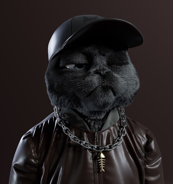 gregoffchain's tweet photo. If you look closely you can see my favorite food. 

Joined the gang @KittyCryptoGang https://t.co/trX1ngBOPx