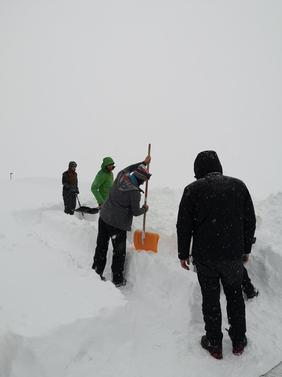 SnowfinchGroup's tweet photo. Some figures after the first 2 days of #sowfinch ringing in the Swiss Alps: 45 birds captured, 3 dataloggers attached and a lot of fresh snow! https://t.co/n0druKozAR