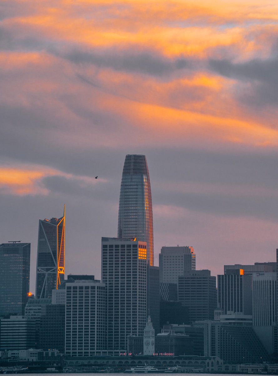 kpBONKs's tweet photo. Gm #photography #sf https://t.co/obkInseH8i