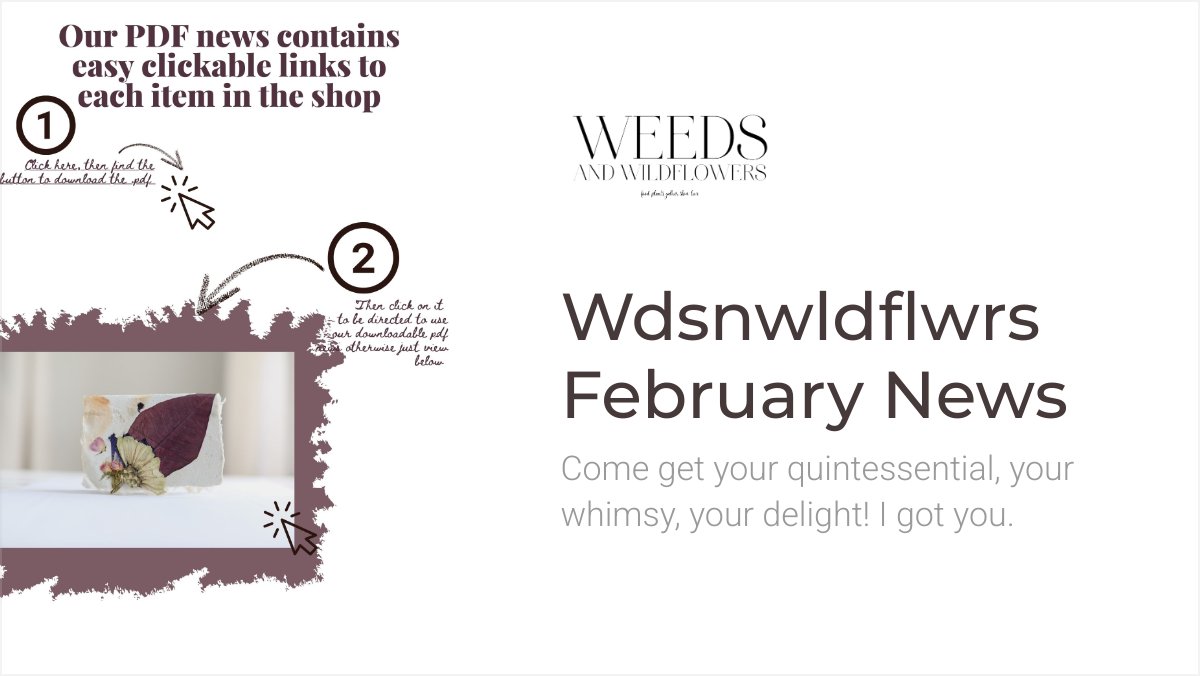 IntrovertlyB's tweet image. Wdsnwldflwrs Feb News - mailchi.mp/ad06b3e6602a/w…