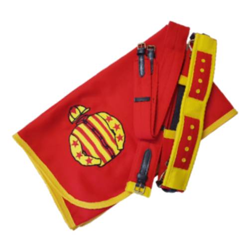 PortoRacing's tweet photo. Exercise sheets, Paddock Sheets, Mesh Rugs.
Embroidered with your logo or yard sponsor. Call to discuss or even play with the online configurator https://t.co/mvAPZiXvN3
#paddocksheets #meshrugs #exercisesheets #madetoorder #embroideredlogo https://t.co/r5ssF62Usr